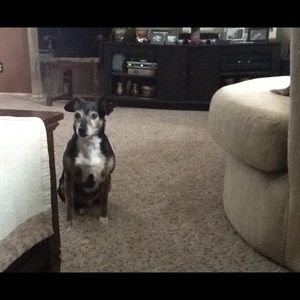 Meet your Posher, Cynthia